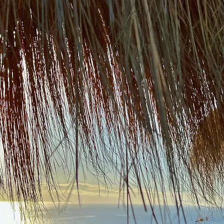 El Sueno Lägenhet Costa Adeje (Tenerife)