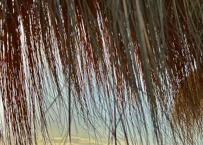 El Sueno Appartement Costa Adeje (Tenerife)